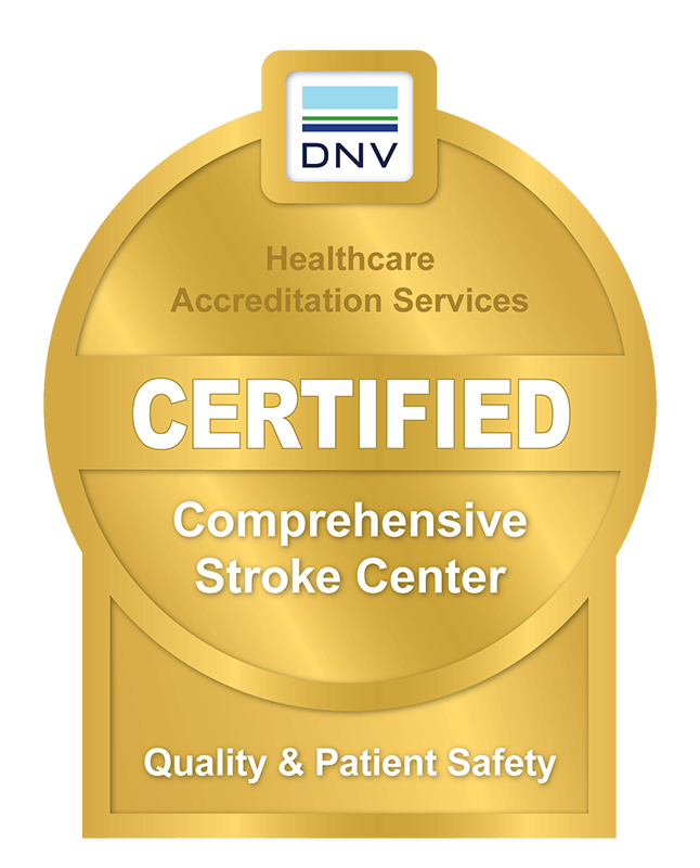 DNV comprehensive stroke logo