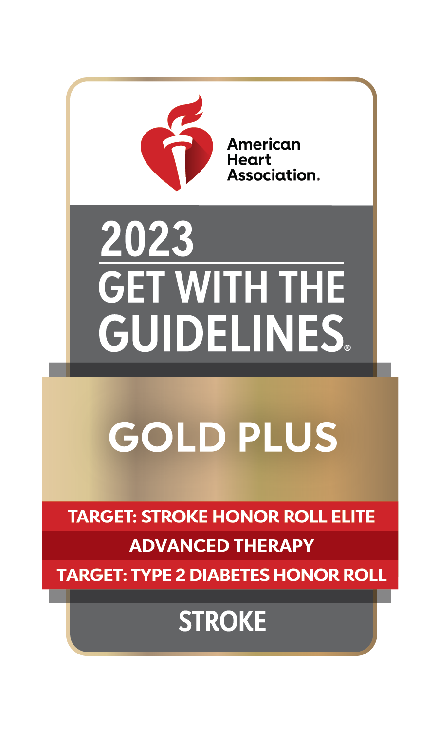 Get with the Guidelines Gold Plus Stroke Award